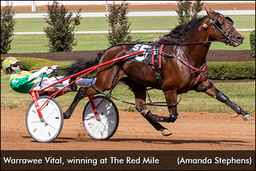 Change In Plans For Warrawee Vital