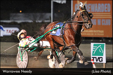 Warrawee Needy Wins 2013 Debut; Resistance Futile Sweeps Trendsetter