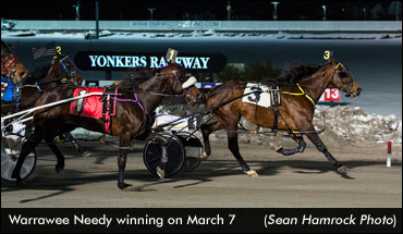 Warrawee Needy Wins Yonkers Open