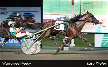 Warrawee Needy Tops Mixed Sale