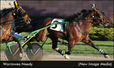 'Needy' Lowers Season's Record