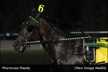 Stars Debut In Big M Qualifiers