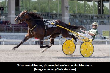 Warrawee Ubeaut Headlines Jugette