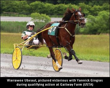 Gingras Discusses Sweet Lou Juvenile
