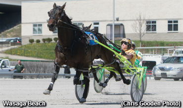 Wasaga Beach Wins Do Me Honor