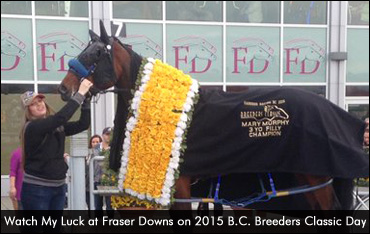 Sisters Sweep Lady Elements Elims