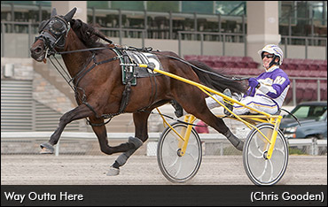 Can Troubled Trotter Make Amends?