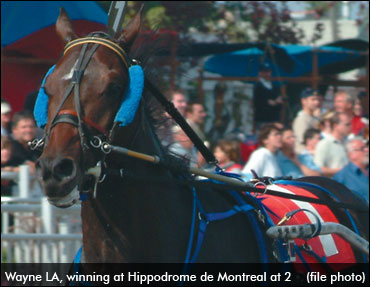 Former 'Cup' Contender Comes Home