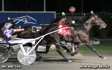 De Pinto Dreaming Of Pace Glory