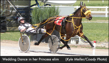 Alberta Sires Stakes Season Begins