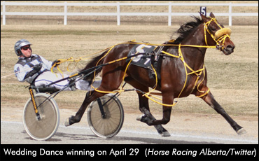 Fillies Shine In Moores Mile