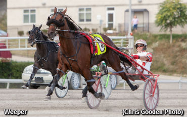 Weeper Wins In Stakes Record Time