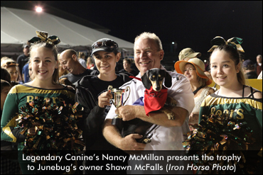 Wiener Dogs Invade Grand River