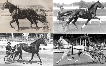 Twenty-Six Recalls Delay The Hambo  Twenty-Six Recalls Delay The Hambo