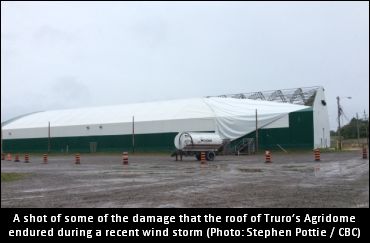 Nova Scotia Yearling Sale Still On