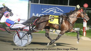 Burlington Stakes Drawn