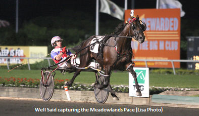 All-Age Track Record For Well Said In Adios Elims