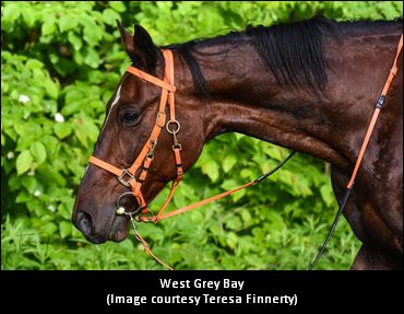 An Enduring Ride For West Grey Bay