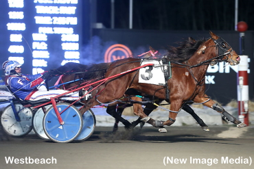 Westbeach Upsets The Apple Cart