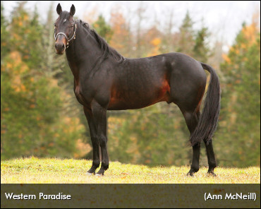 Western Paradise Passes