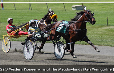 Stars, Rookies Qualify Saturday