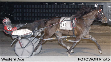 28-1 Western Ace Wins Dover Open