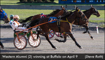 New Strategy Works For Western Alumni