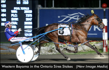 Western Bayama Leads Grassroots Colts