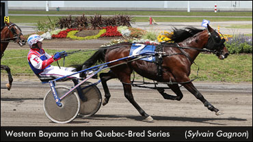 Longshots Rule In Series Opener