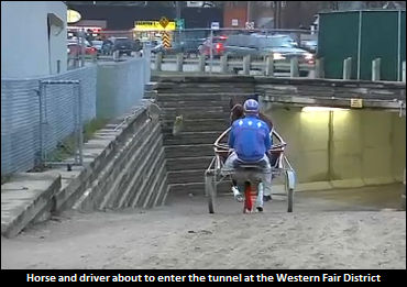 Western Fair Trainers’ Race Is Tight