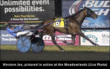 Get To Know Some Of The ‘Joes’