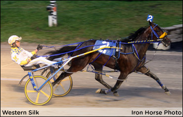 A Golden Performance By Western Silk