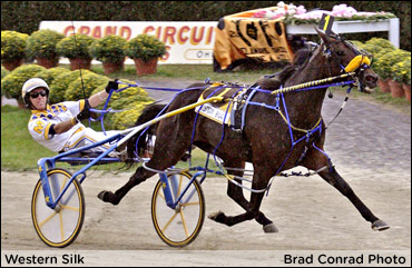 Western Silk Wins Jugette In Straight Heats