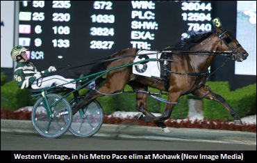 Western Vintage To Stand In Ohio