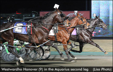 Will 'Westwardho' Sweep The Aquarius?