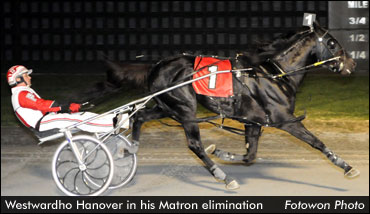 Burke Glamour Boys Win Matron Elims