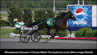 Filion Discusses 'Whackamole's Prep