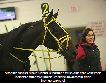 Owner Dead Serious About 'Gangsta'