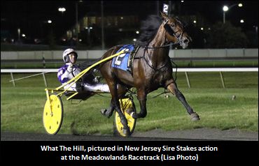 What The Hill Book Full, Closed