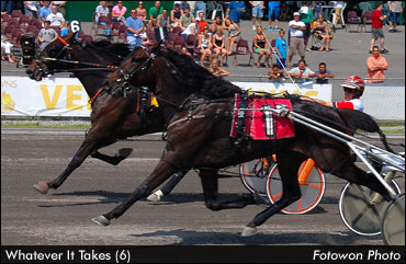 Whatever It Takes Euthanized