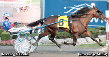 Bridger Sweep For Wheeling N Dealin