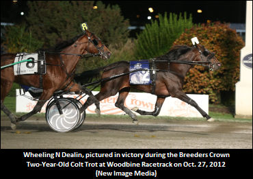 Another Qualifying Win For Wheeling N Dealin