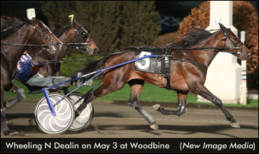 Scratch In Maple Leaf Trot
