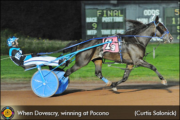 From Pony Races To The Breeders Crown