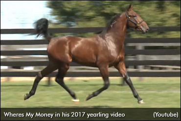 A Pedigree For Speed At Mohawk