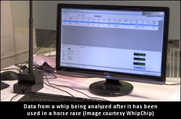 Whipping Analysis Goes High Tech