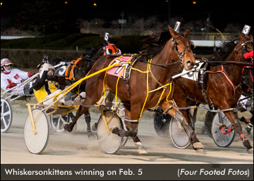 Whiskersonkittens Sweeps Series