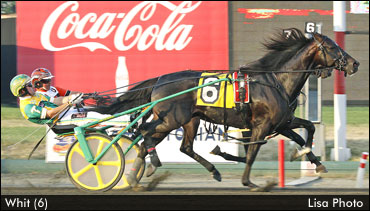 Hambo, Oaks Hopefuls Prepare At Big M