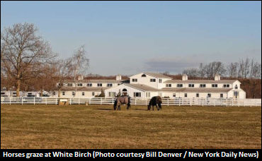 White Birch Farm To Disperse