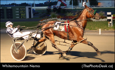 'Nemo' Finding His Winning Momentum
